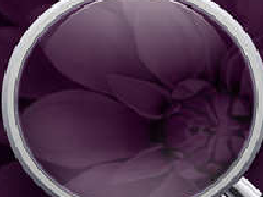 商标注册近似驳回比较多?怎么办的呢？