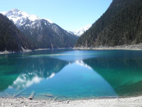 死亡率是指 (出生率和死亡率)