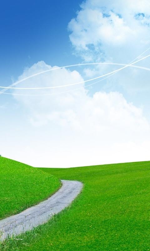 烤鳄鱼(鳄鱼肉为什么那么难吃)