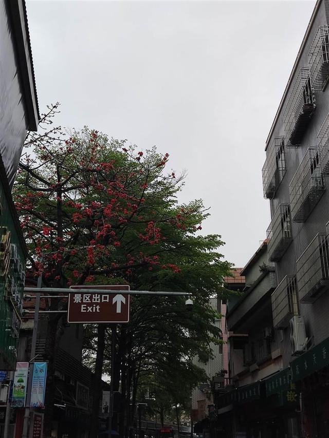 空难后这条玉器街再不见他们身影的简单介绍_https://www.whai.cc_行业资讯_第4张