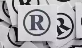 “粽爹”“粽美人”“粽宝宝”“粽统世家”看