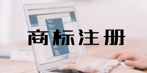 商标法修正案草案：加大侵权惩罚力度