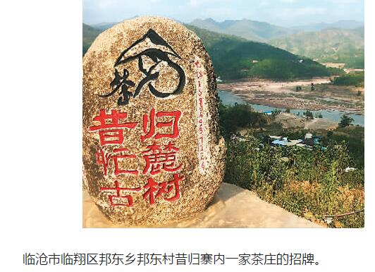 一片小茶叶，百亿大产业