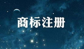 2019年上半年1-6月「专利、商标、地理标志」等统
