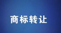 商标转让遭遇撤三，受让人可能钱标两空！
