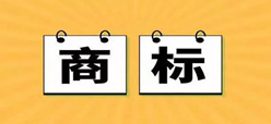 关于义乌市千宇进出口有限公司出口侵犯“cK”等